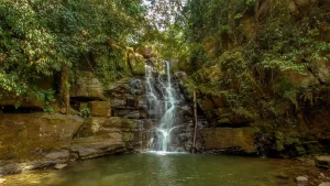 cascada de paccha